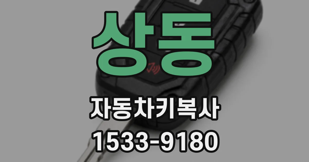 상동 자동차키복사