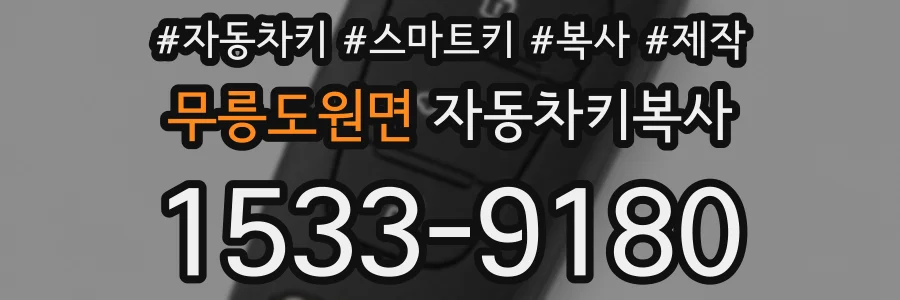 무릉도원면 자동차키복사
