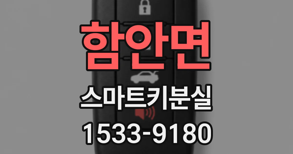 함안면 스마트키분실