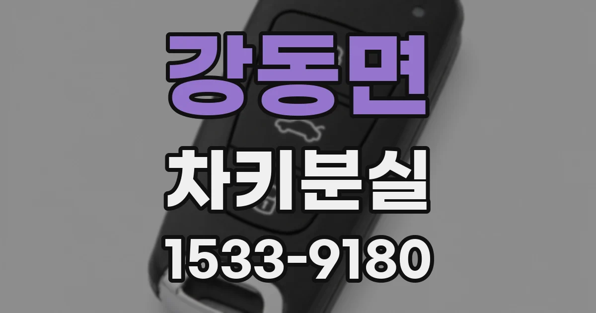 강동면 차키분실
