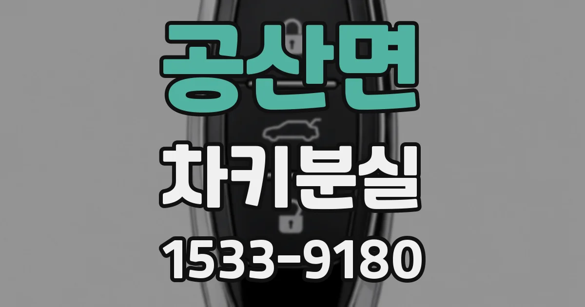 공산면 차키분실