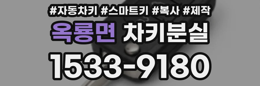 옥룡면 차키분실