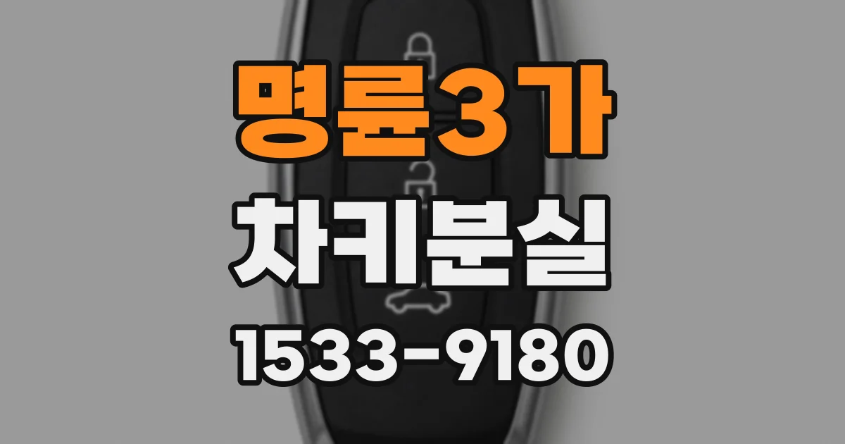 명륜3가 차키분실