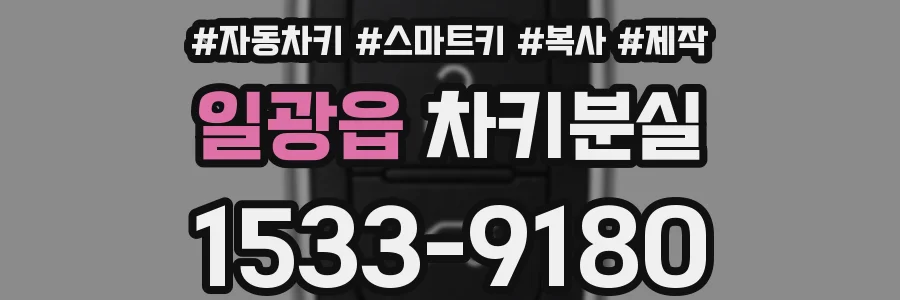 일광읍 차키분실