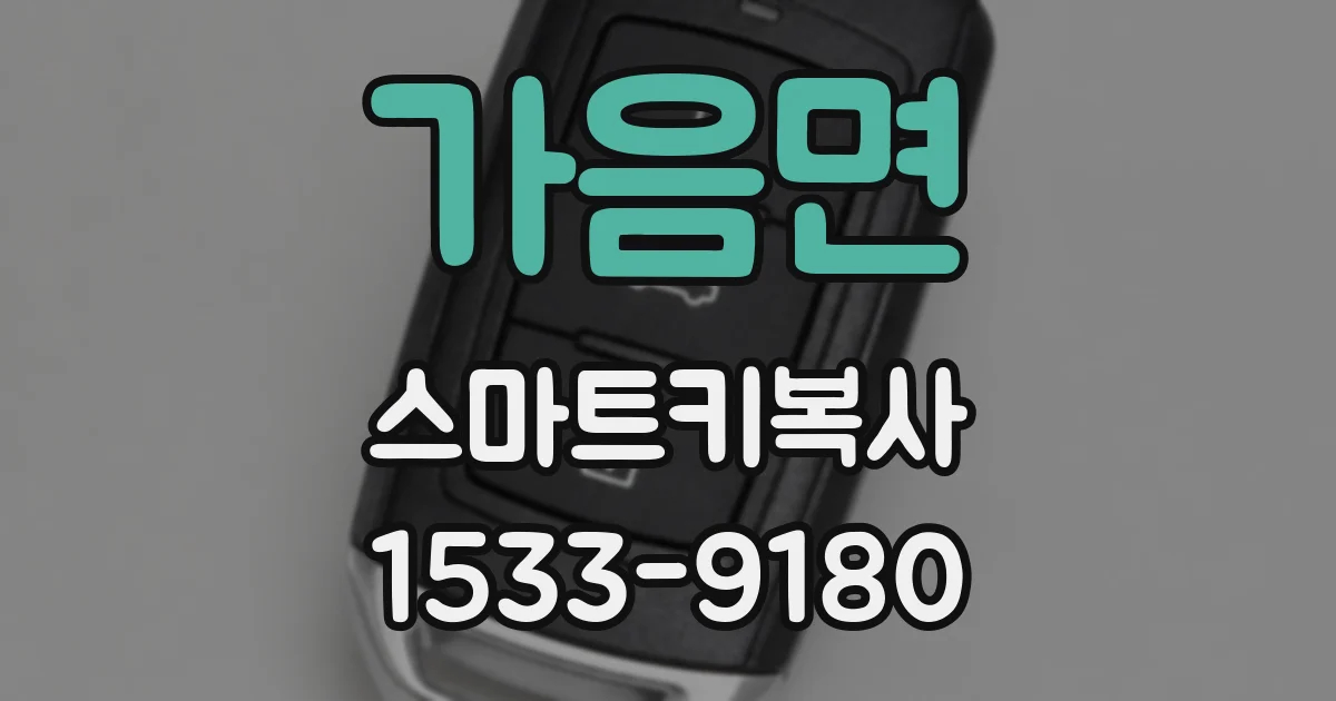 가음면 스마트키복사