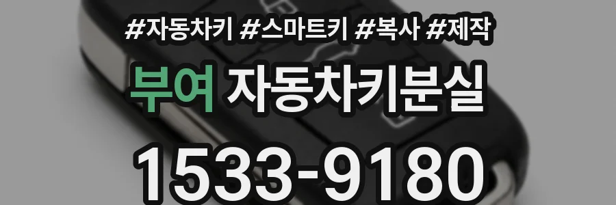 부여 자동차키분실