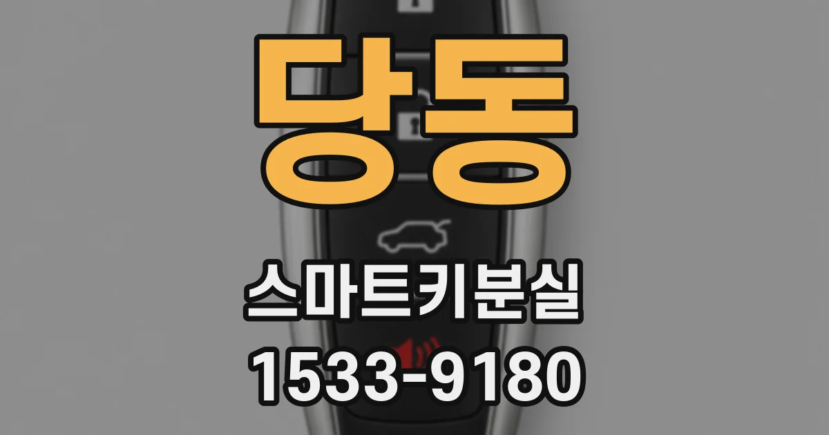 당동 스마트키분실