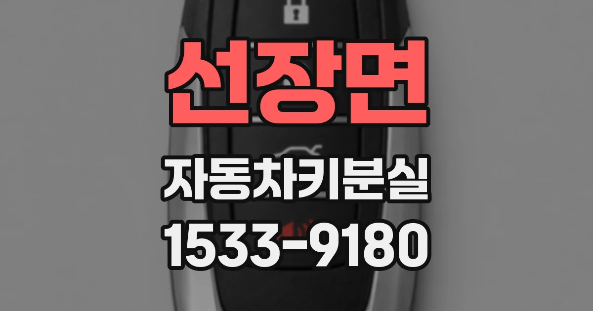 선장면 자동차키분실
