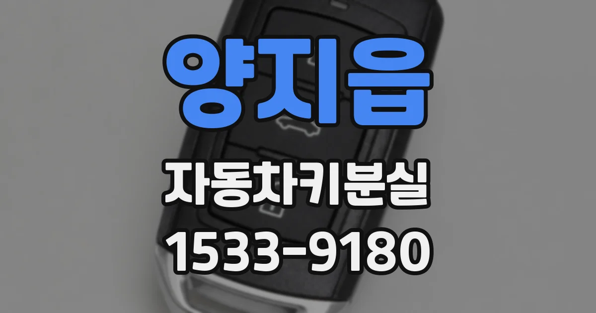 양지읍 자동차키분실