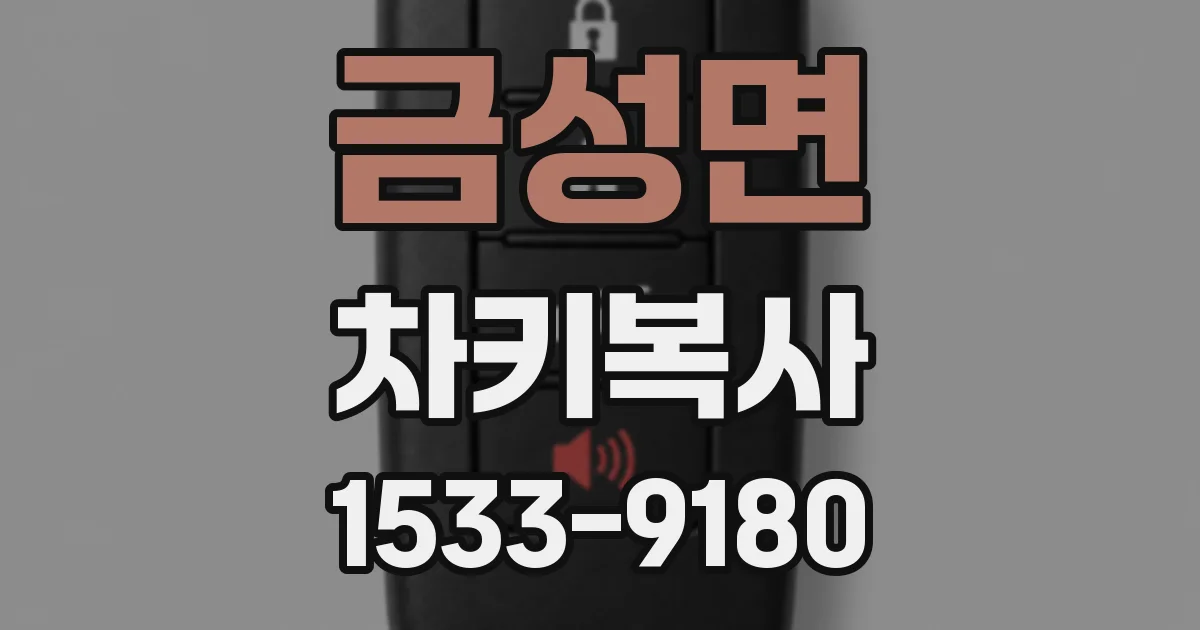 금성면 차키복사