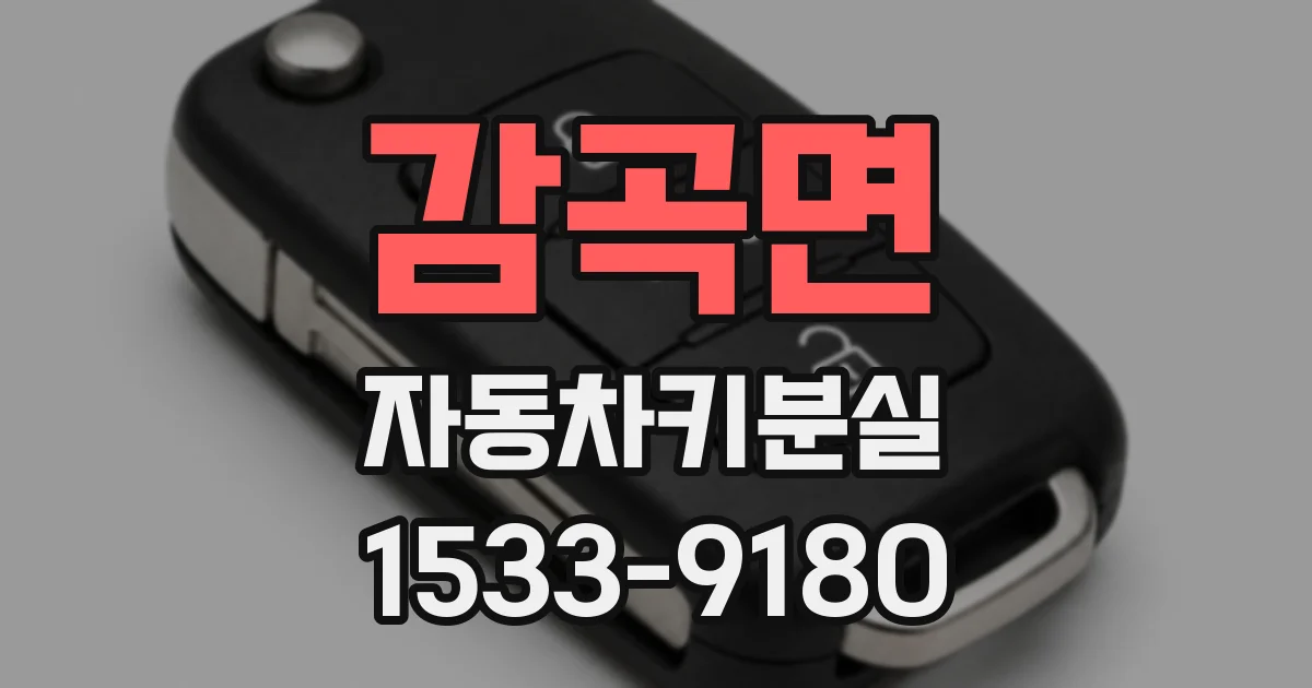감곡면 자동차키분실
