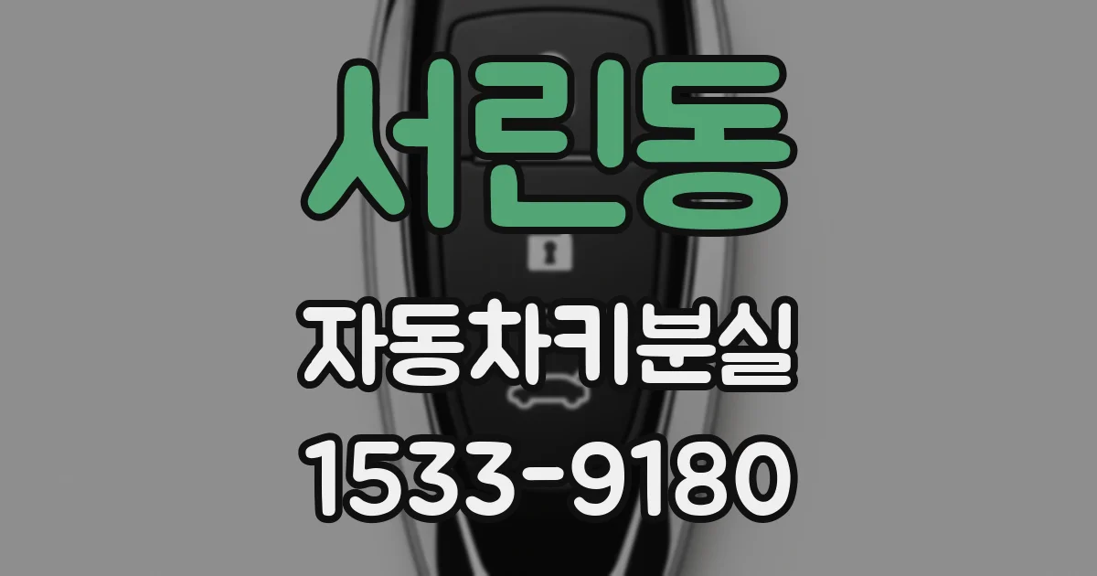 서린동 자동차키분실