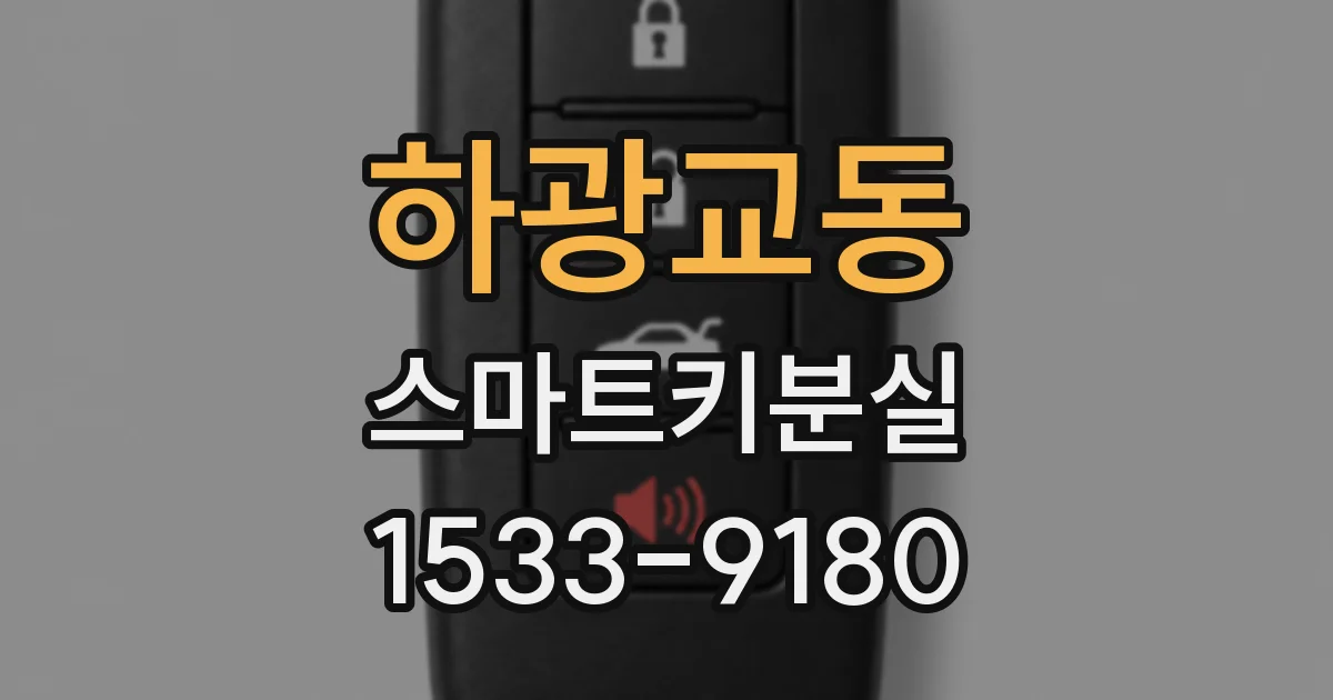 하광교동 스마트키분실