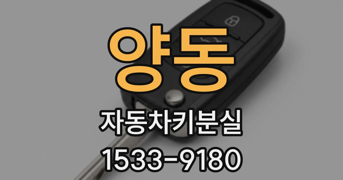 양동 자동차키분실