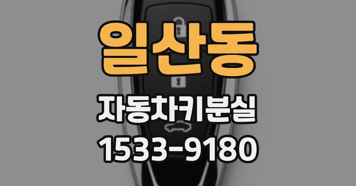 일산동 자동차키분실