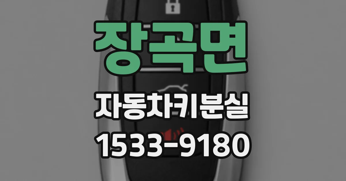 장곡면 자동차키분실