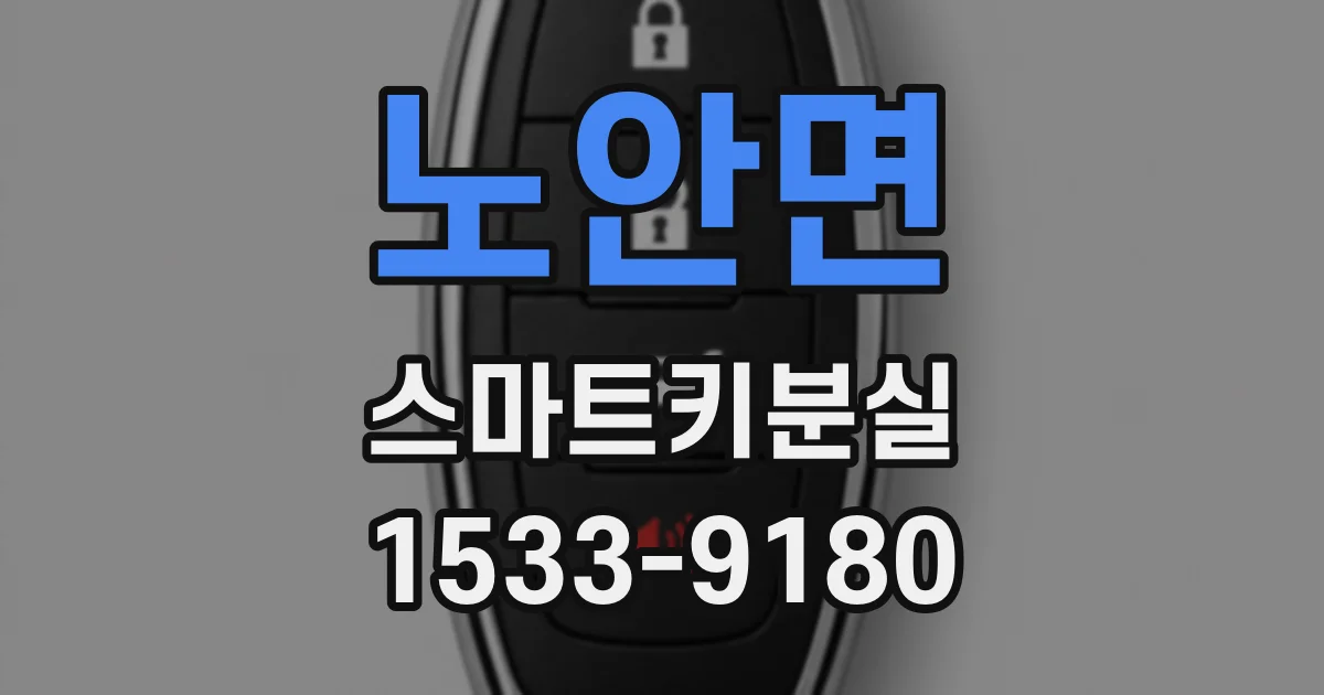 노안면 스마트키분실