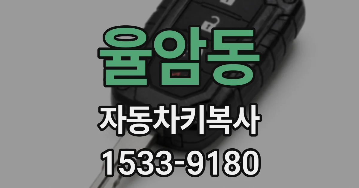 율암동 자동차키복사