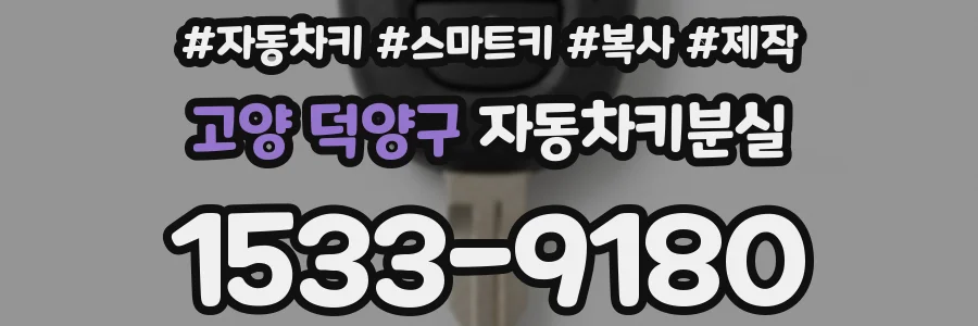 고양 덕양구 자동차키분실