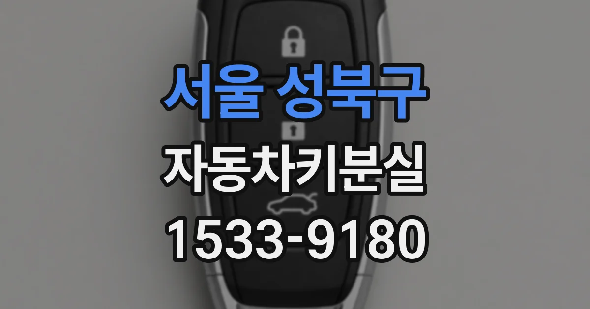 서울 성북구 자동차키분실