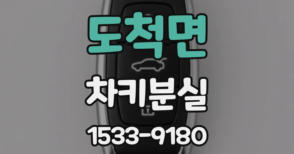 도척면 차키분실