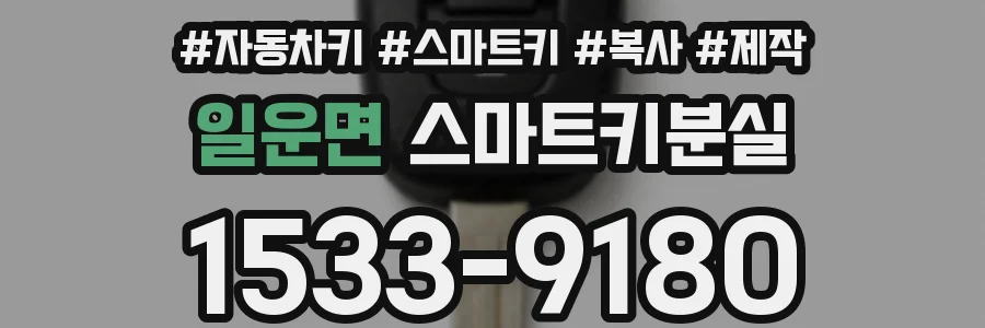 일운면 스마트키분실