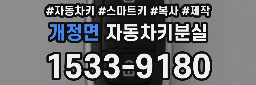 개정면 자동차키분실