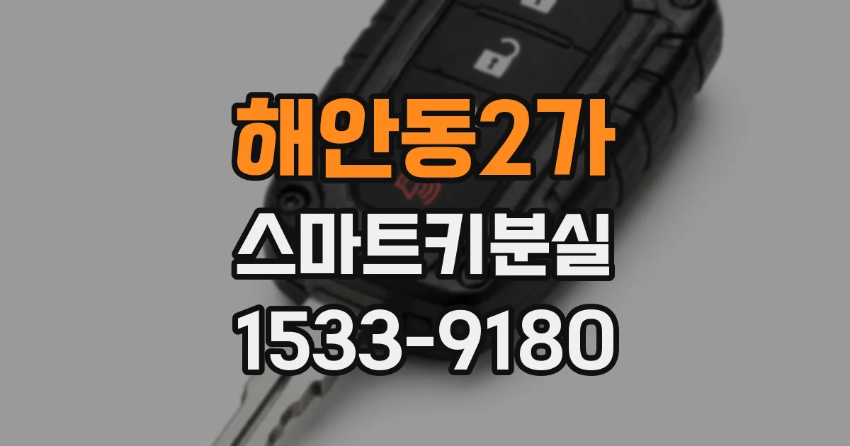 해안동2가 스마트키분실
