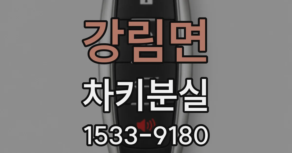 강림면 차키분실