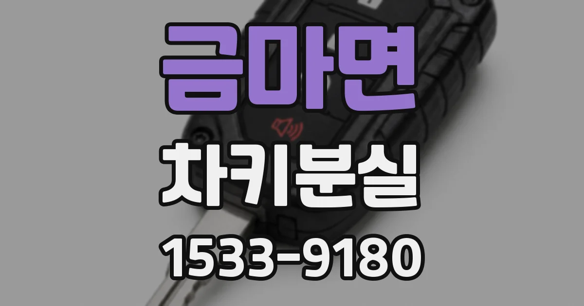 금마면 차키분실