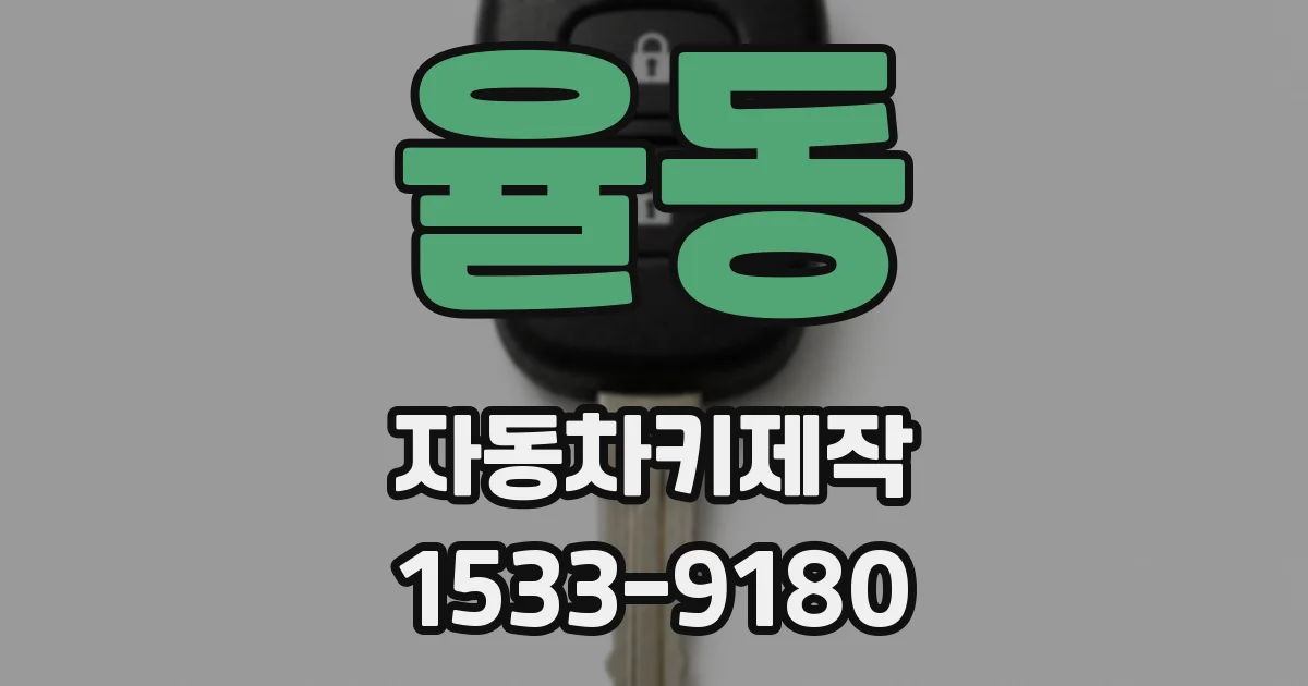 율동 자동차키제작