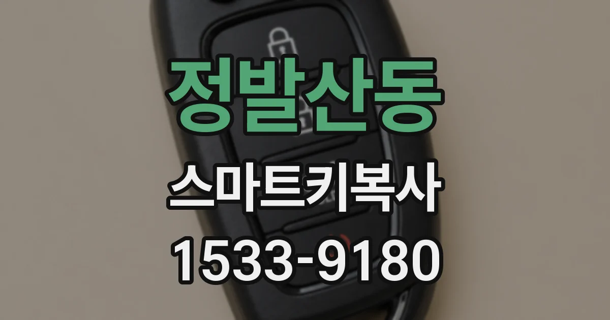 정발산동 스마트키복사