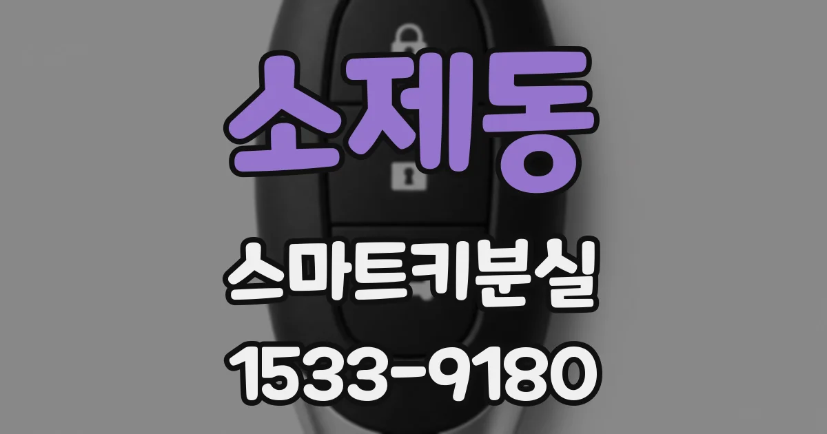 소제동 스마트키분실