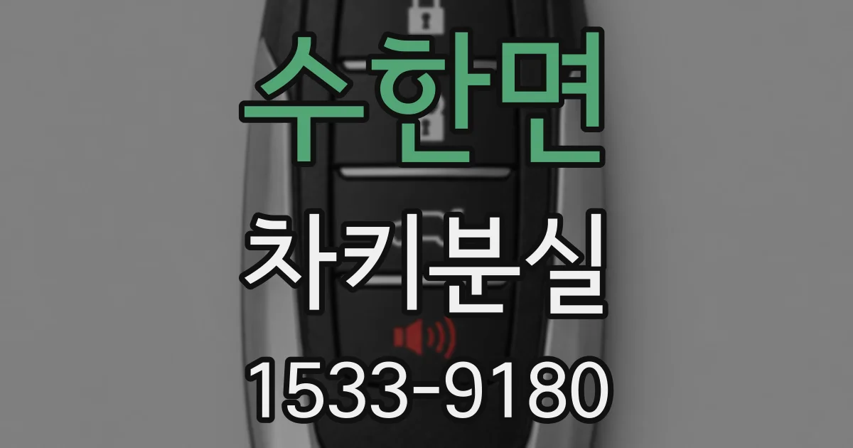 수한면 차키분실