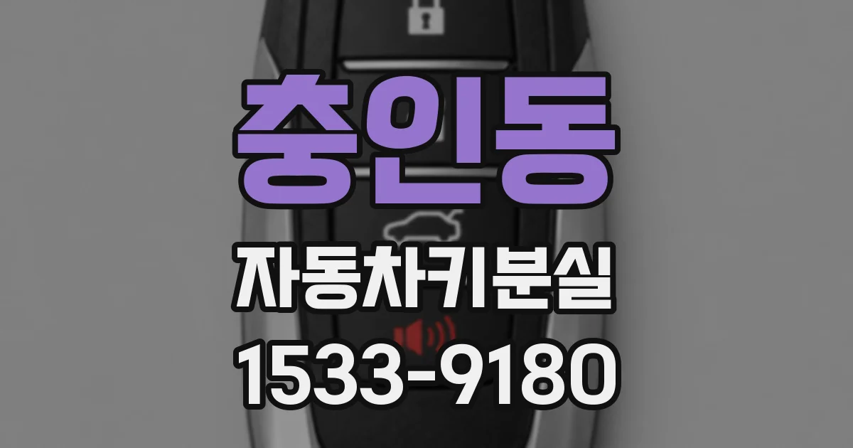 충인동 자동차키분실