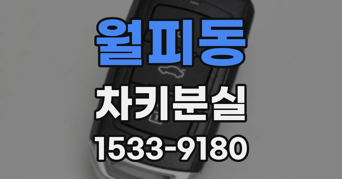 월피동 차키분실