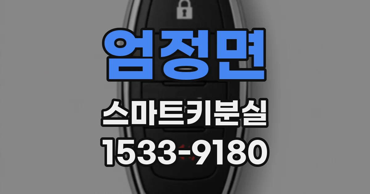 엄정면 스마트키분실