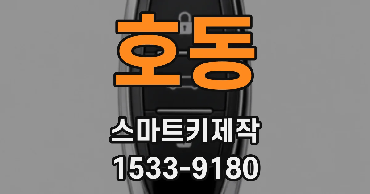 호동 스마트키제작