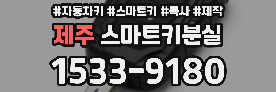 제주 스마트키분실