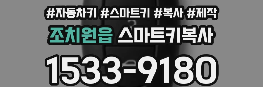 조치원읍 스마트키복사