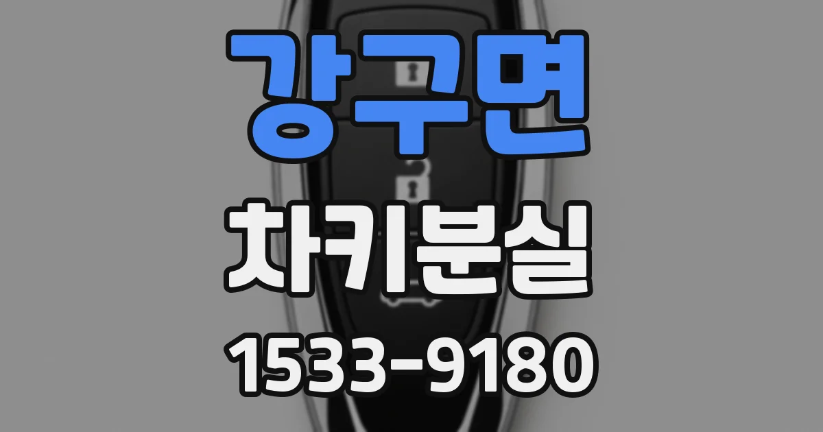 강구면 차키분실