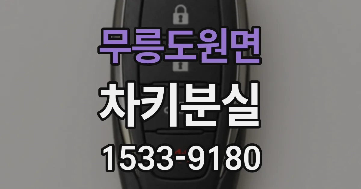 무릉도원면 차키분실