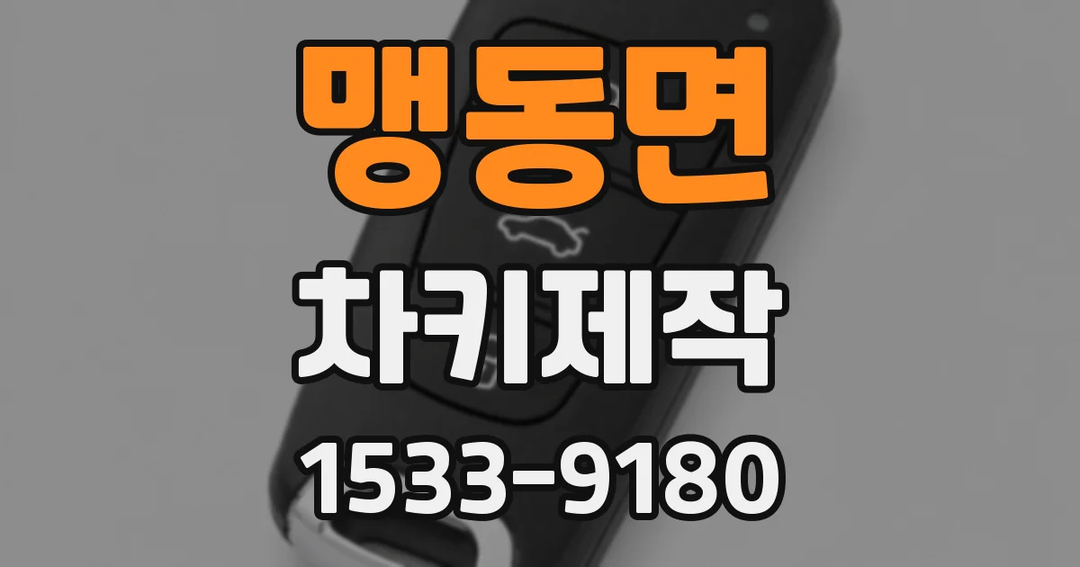맹동면 차키제작