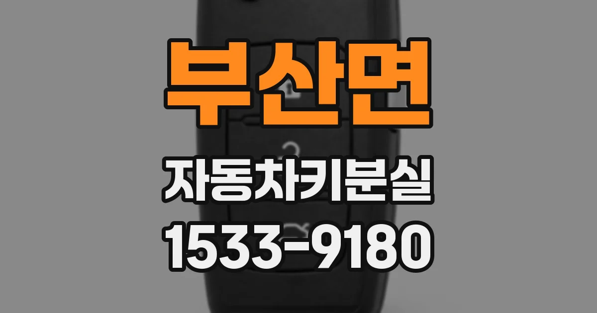 부산면 자동차키분실