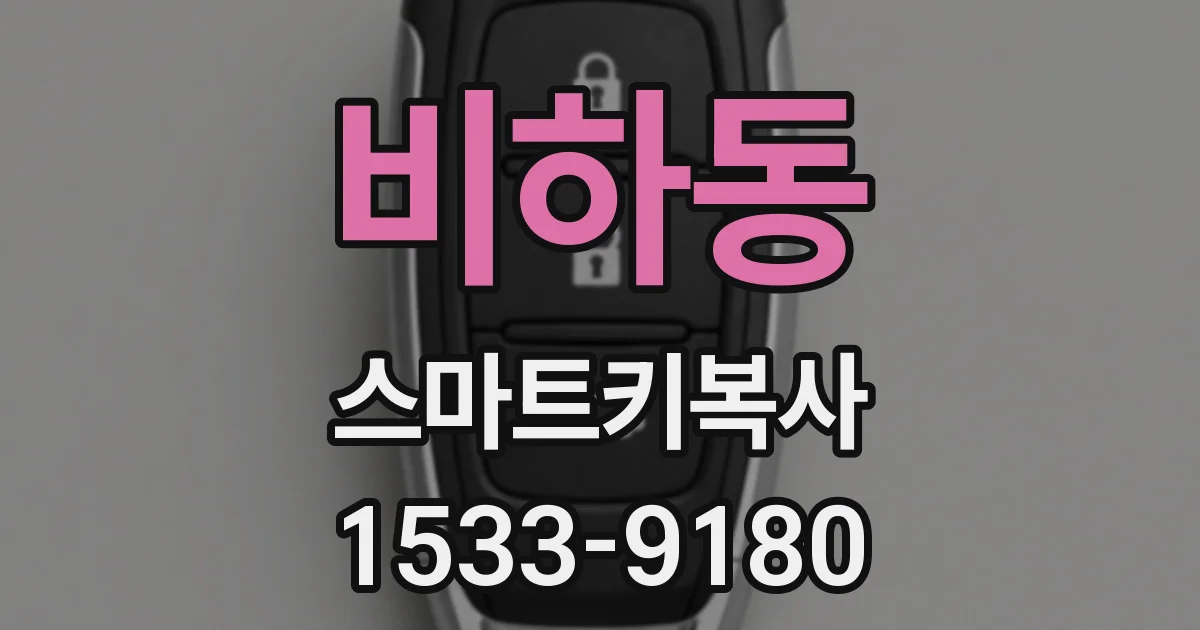 비하동 스마트키복사