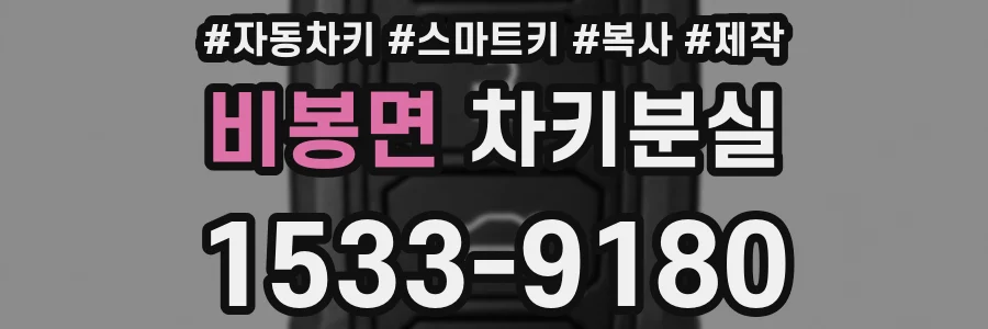 비봉면 차키분실