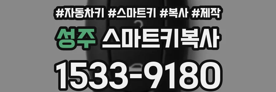 성주 스마트키복사