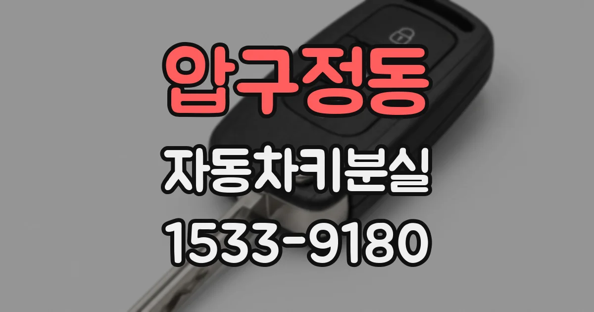 압구정동 자동차키분실
