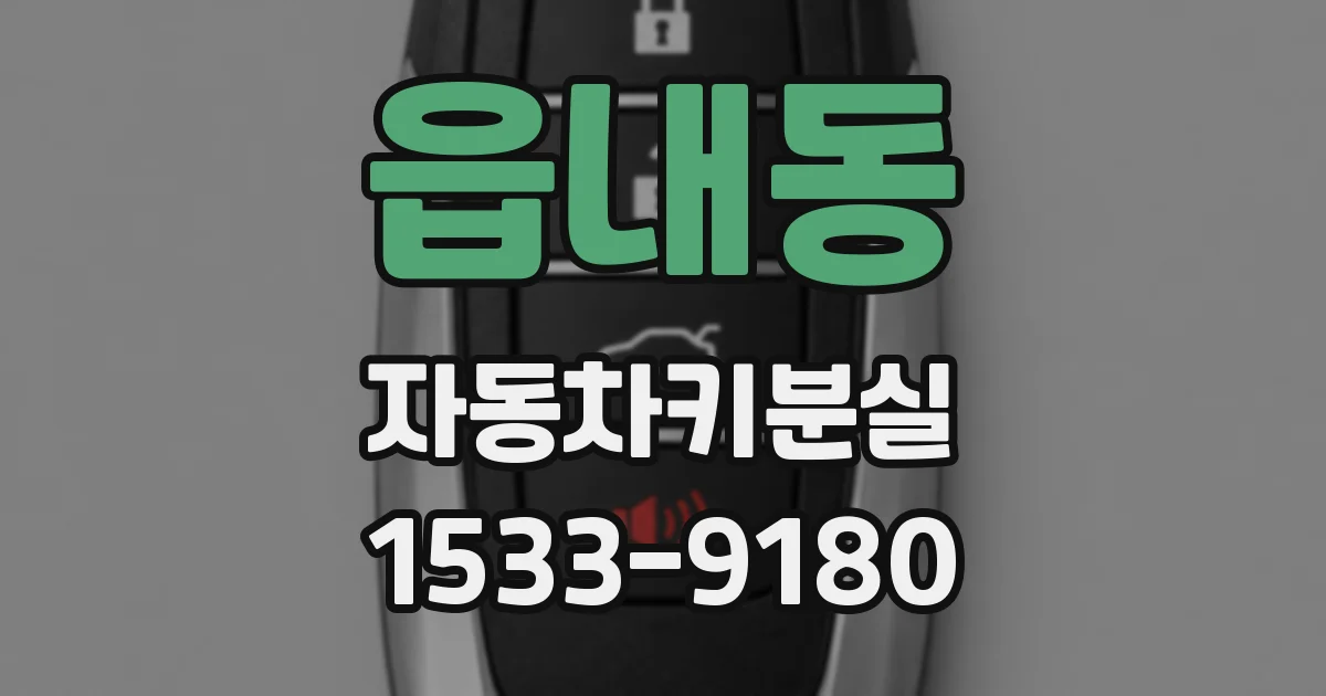 읍내동 자동차키분실