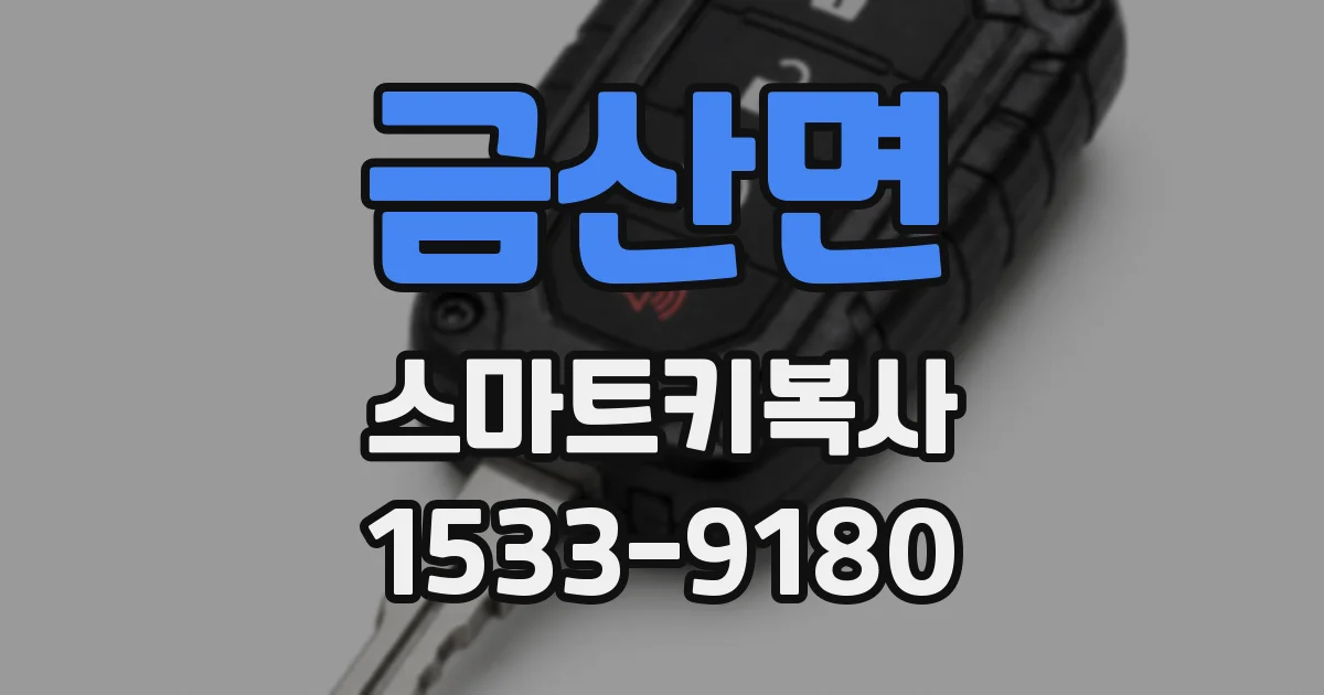 금산면 스마트키복사
